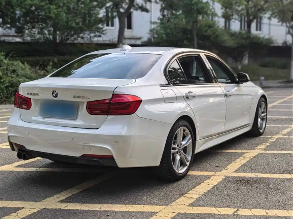 BMW 3 Series 2018 320Li Leading M Sport Package фото 11