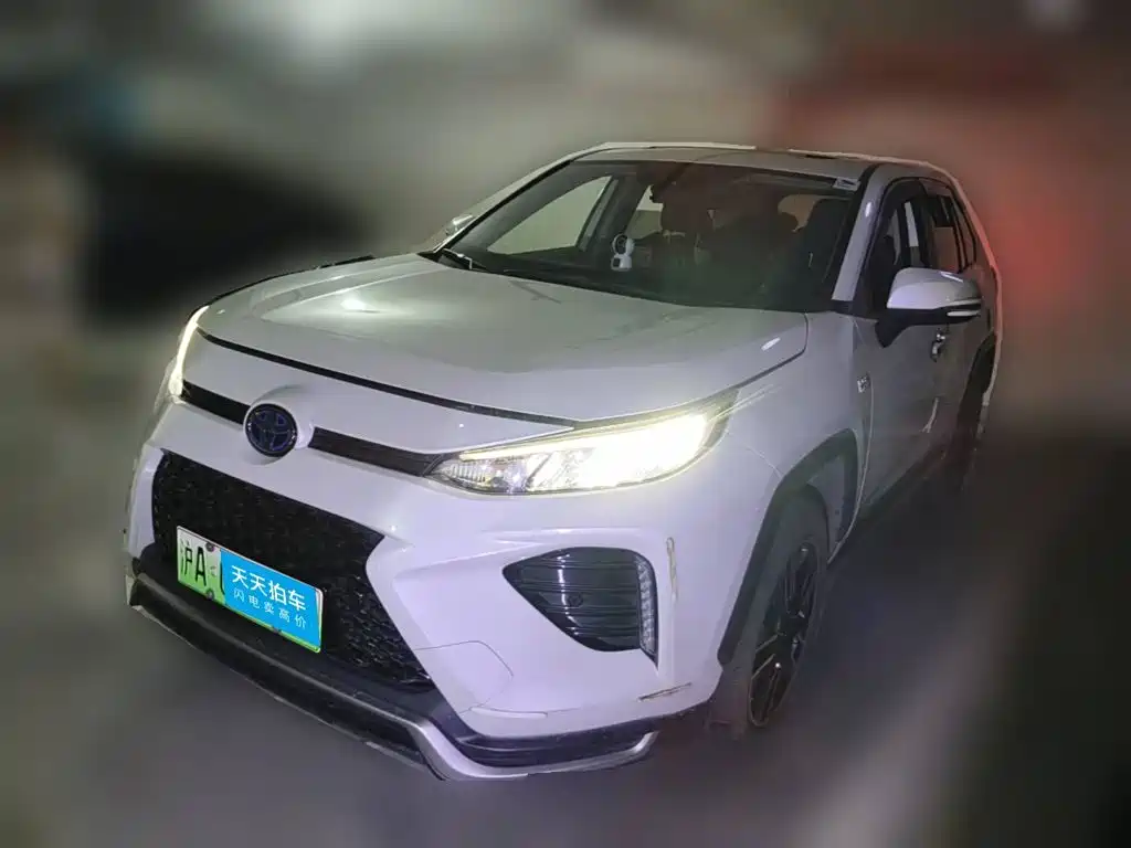 Toyota Wildlander New Energy 2021