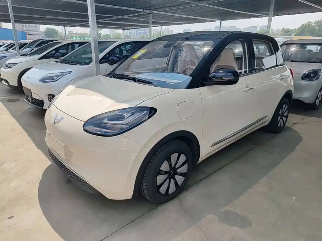 Wuling Motors Wuling Bingo 2026 2025 Model 333km Joy Edition