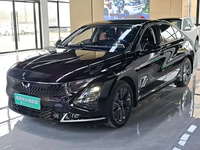 Wuling Motors Wuling Xingguang 2024 Co-Creation Edition 150 Standard
