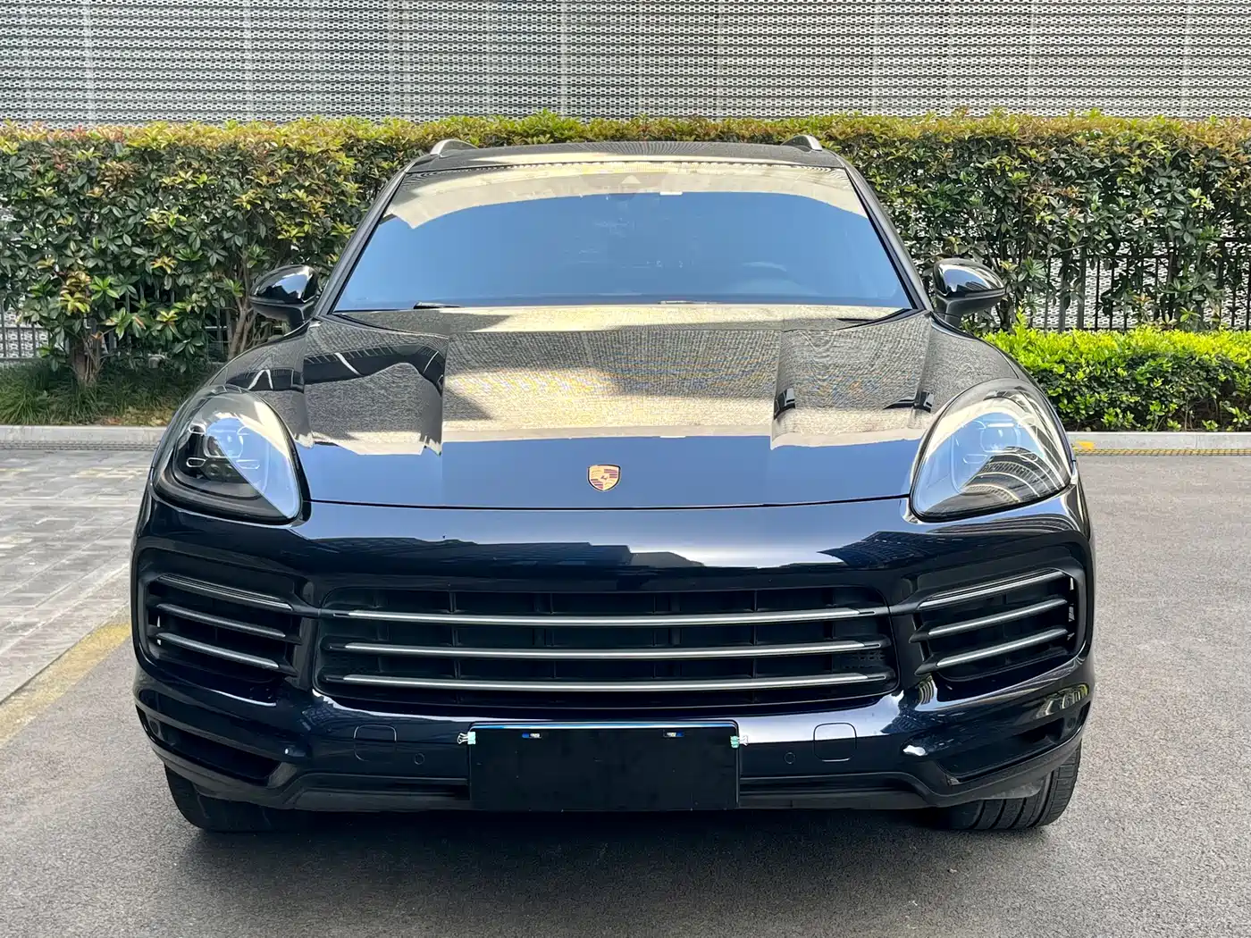 Porsche Cayenne 2019 Cayenne 3.0T фото 3