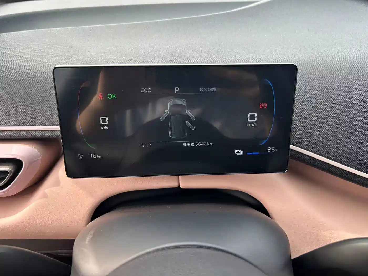 BYD Seagull 2025 Smart Drive Edition 305km Vitality Version фото 14