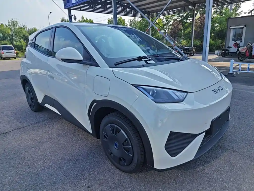 BYD Seagull 2026 2025 305km Vitality