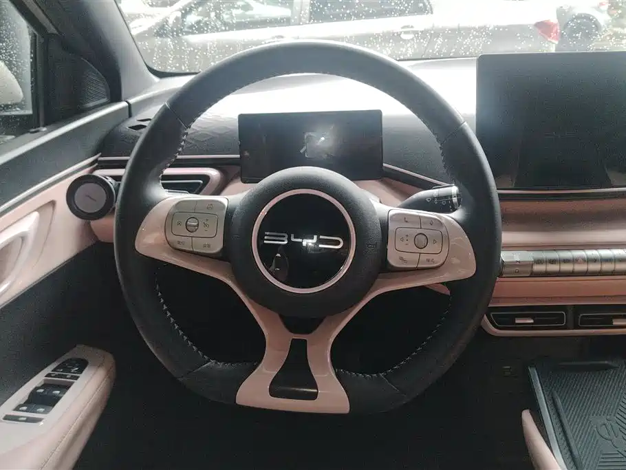BYD Seagull 2023 Freedom Edition фото 15