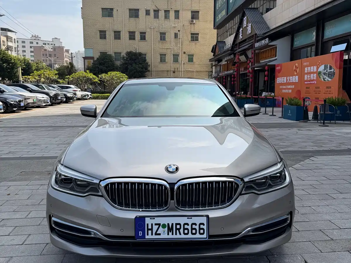 BMW 5 Series 2020 530Li Leading Luxury Package фото 2