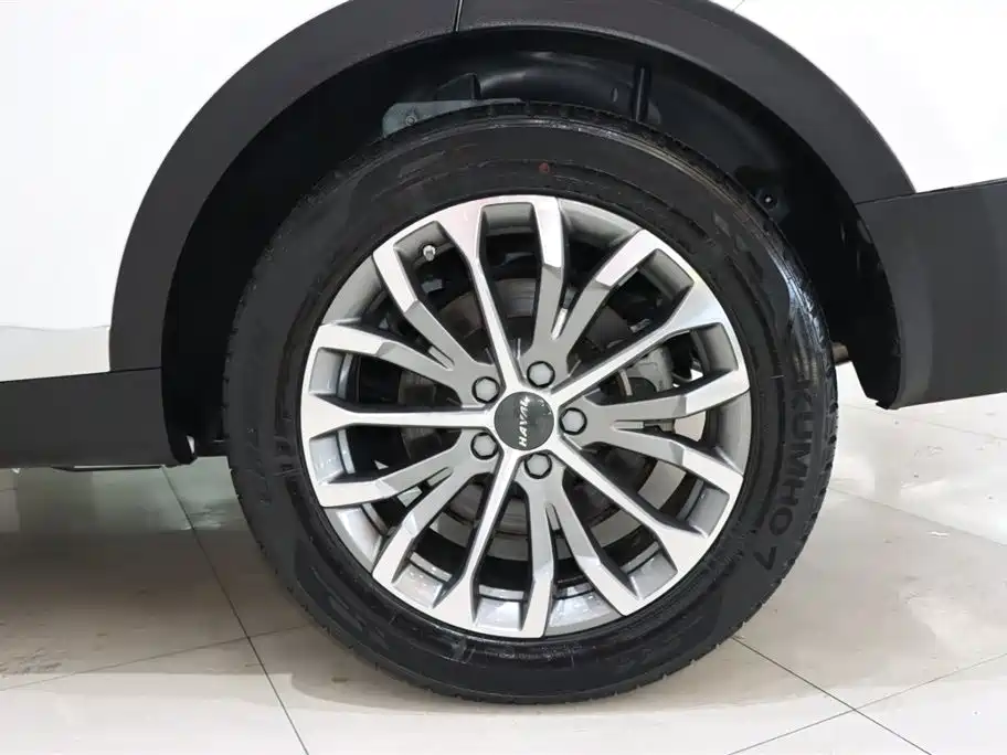 Haval H6 2020 1.5GDIT Automatic Platinum Luxury Edition фото 20