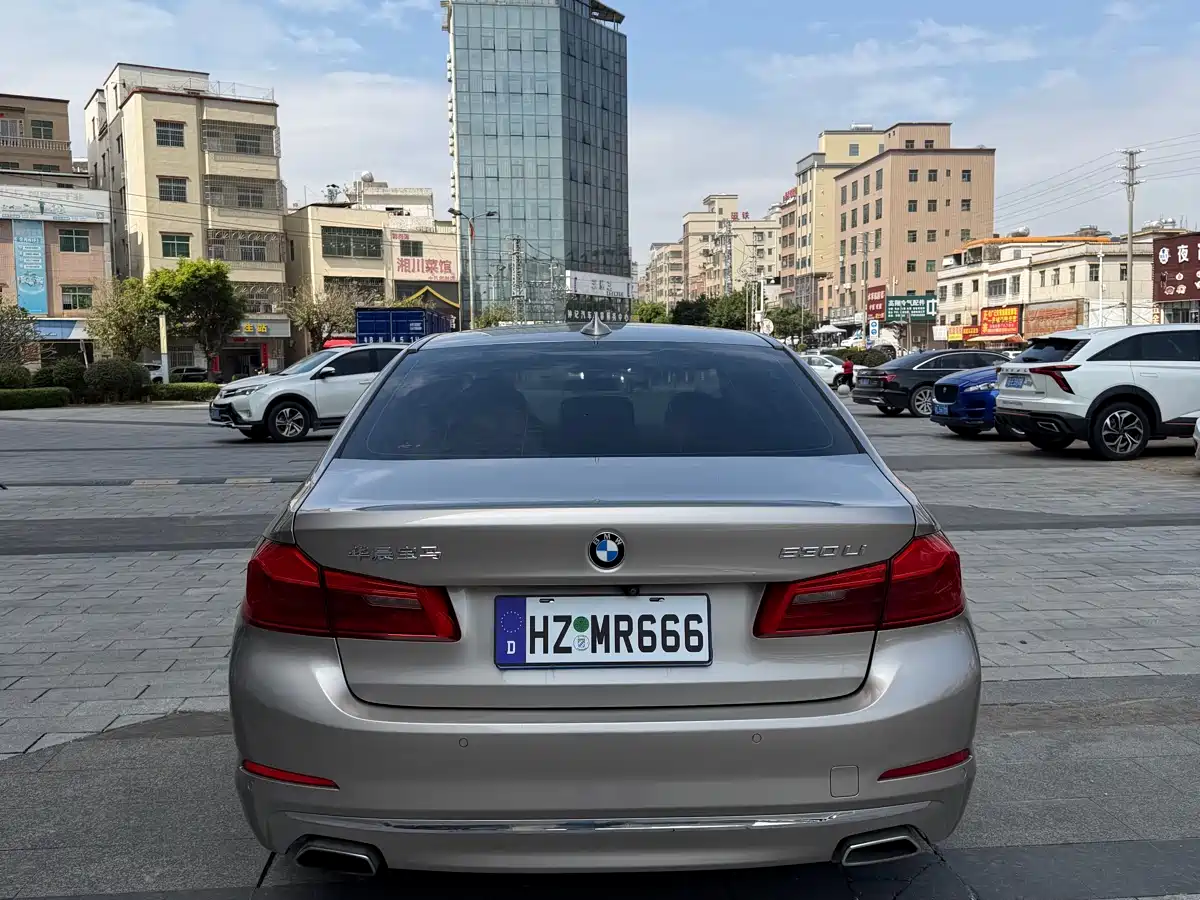 BMW 5 Series 2020 530Li Leading Luxury Package фото 5
