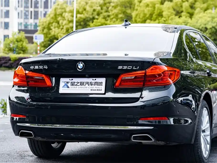 BMW 5 Series 2020 530Li Premium Luxury Package фото 7