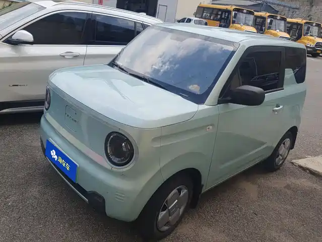 Geely Galaxy Panda 2024