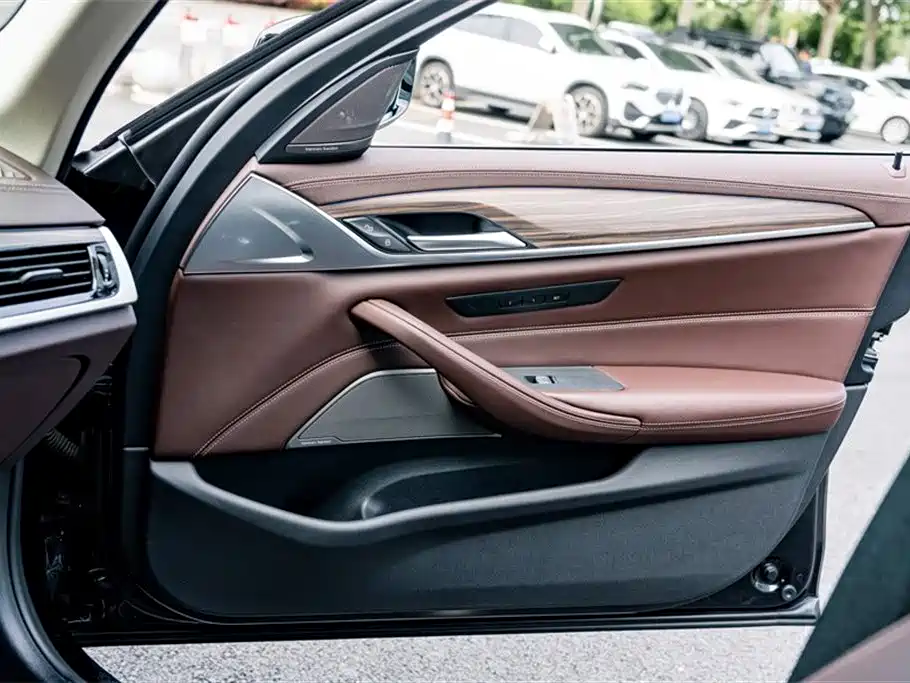 BMW 5 Series 2020 530Li Premium Luxury Package фото 16
