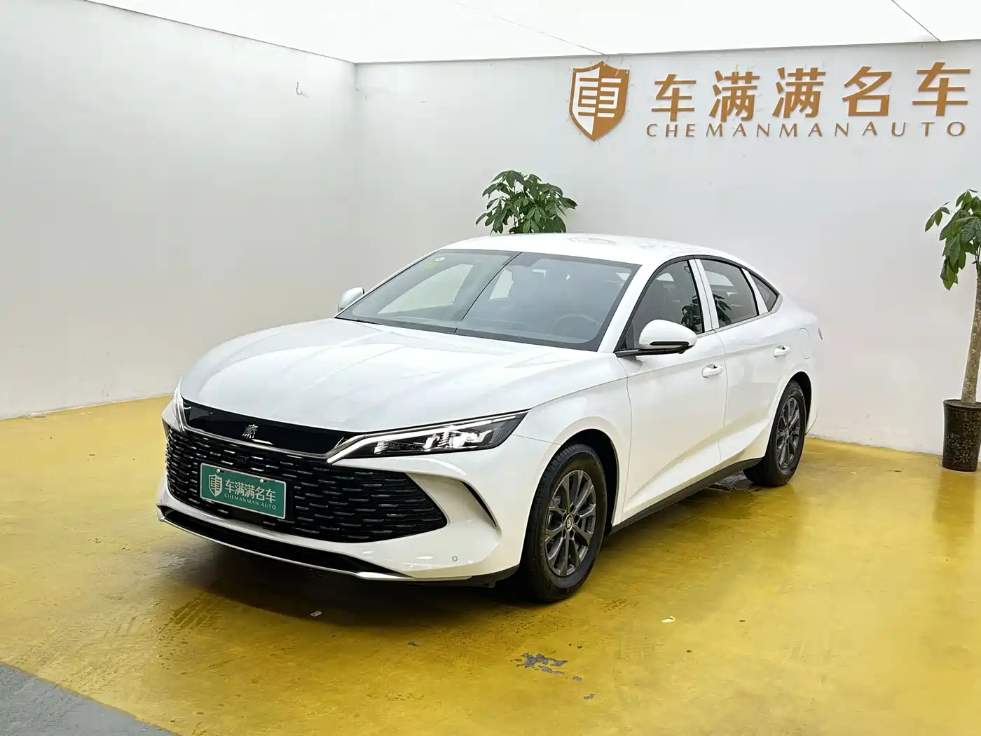 BYD Qin L 2026 2026 DM-i 128KM Progressive