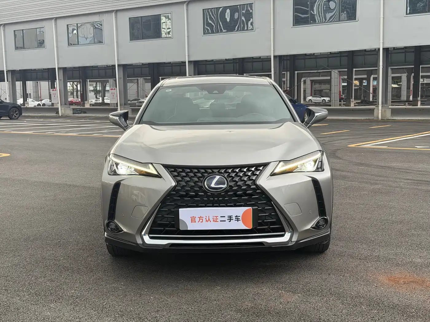 Lexus UX Electric 2022 2020 300e Pure Yue Edition