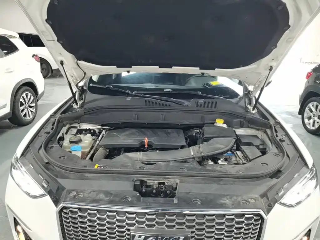 Haval F5 2020 2019 National Trend Edition 1.5T iTrend China VI