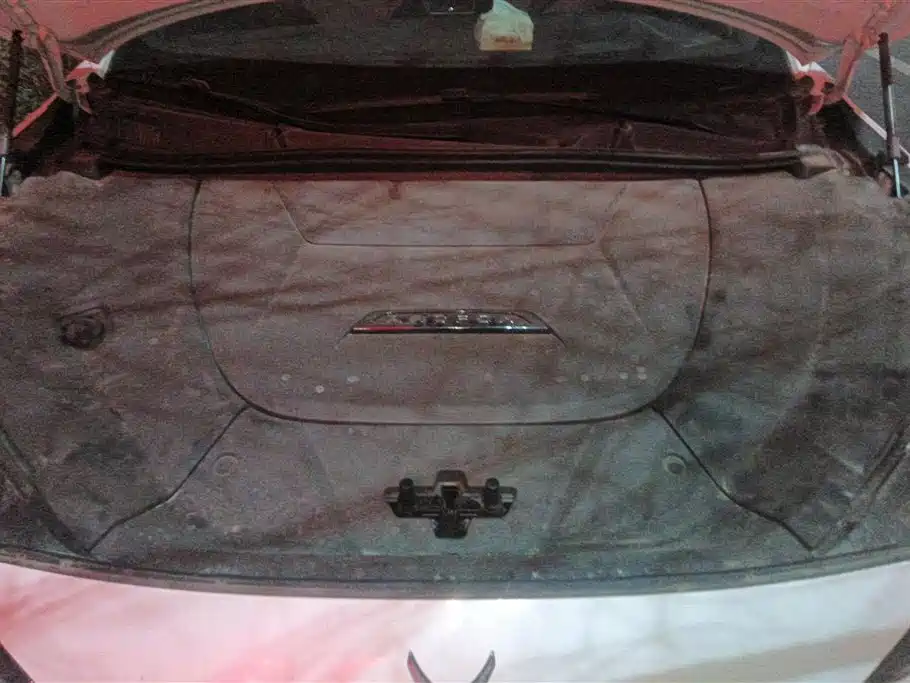 ARCFOX EXTREME FOX POLAR FOX ALPHA S6