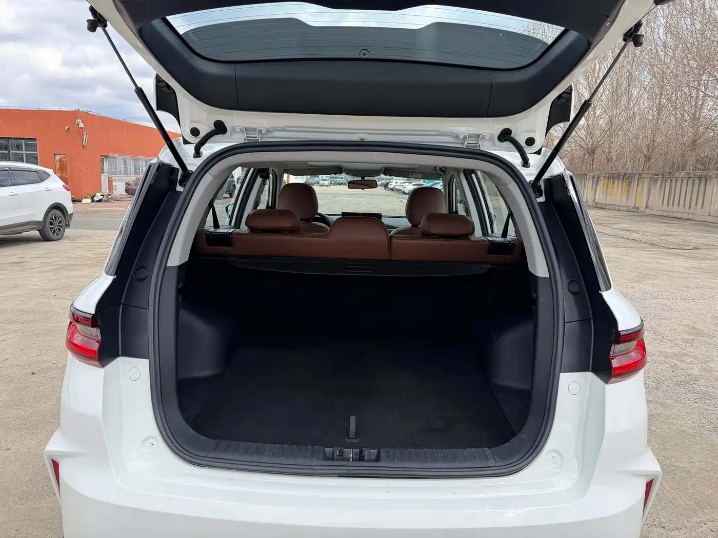 GEELY AUTOMOBILE VISION X6