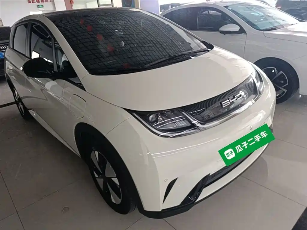 BYD Dolphin 2023 420km Fashion Edition фото 4