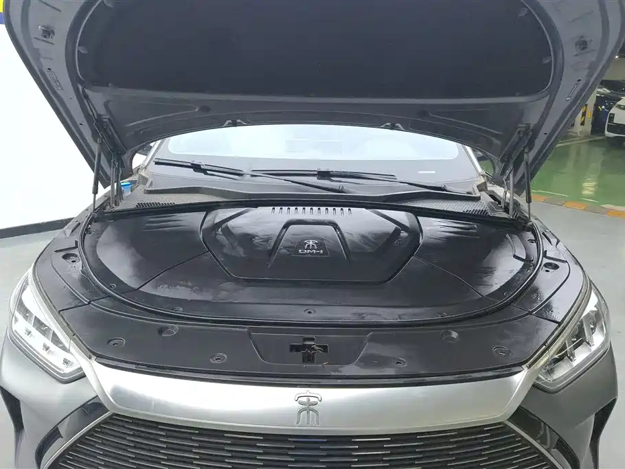 BYD Song PLUS PHEV 2021 DM-i 110KM Flagship PLUS фото 10