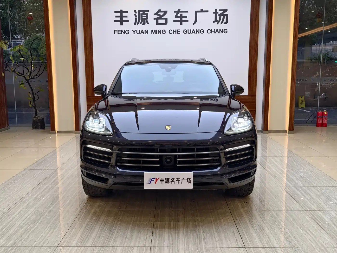 Porsche Cayenne 2022 Cayenne 3.0T Platinum Edition фото 2