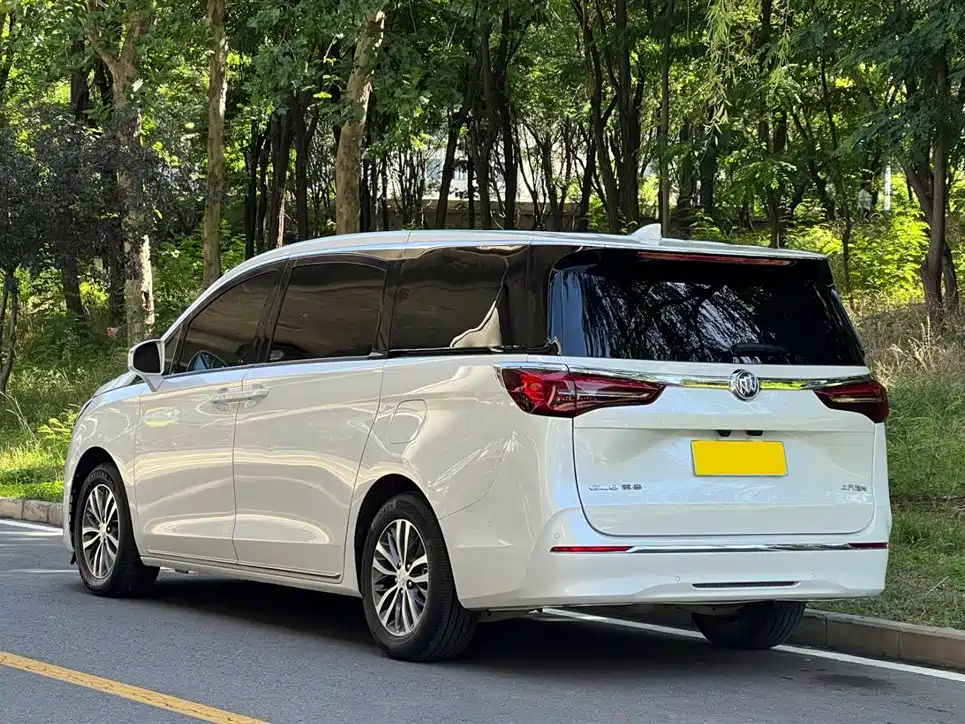 Buick GL8 2023 ES Landmaster Exclusive фото 20