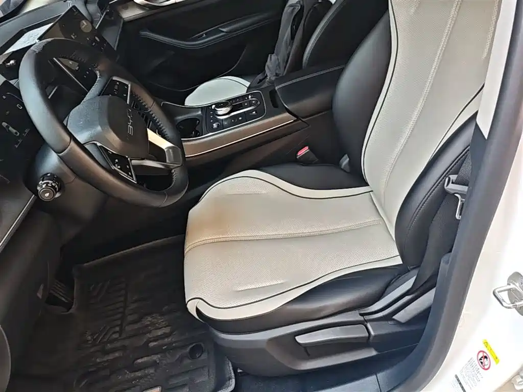 BYD Destroyer 05 2024 Glory Edition DM-i 55KM Luxury фото 15