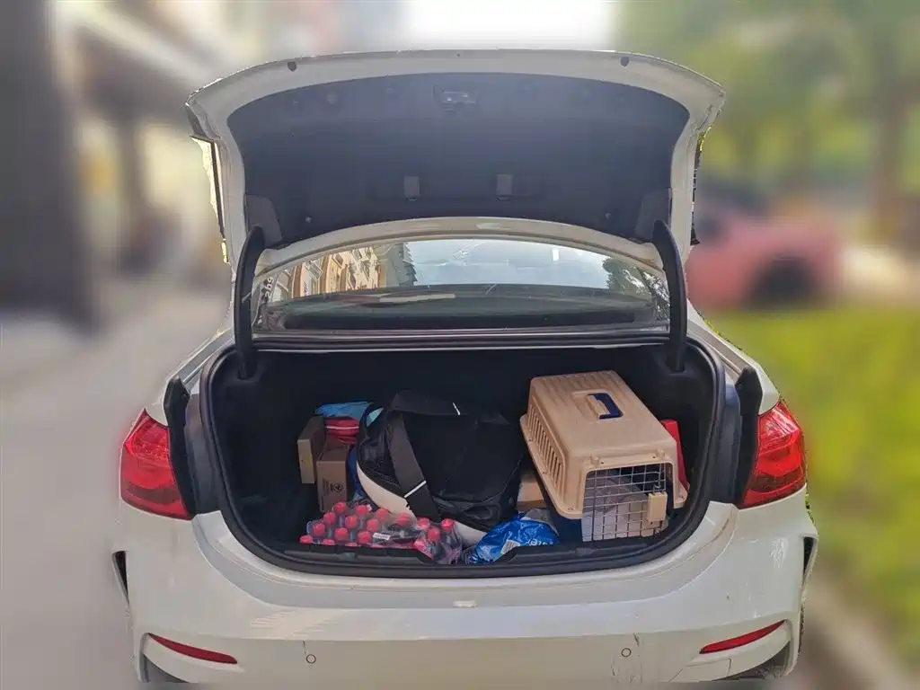 BMW 1 Series 2020 Model 125i Leading M Sport Package фото 10
