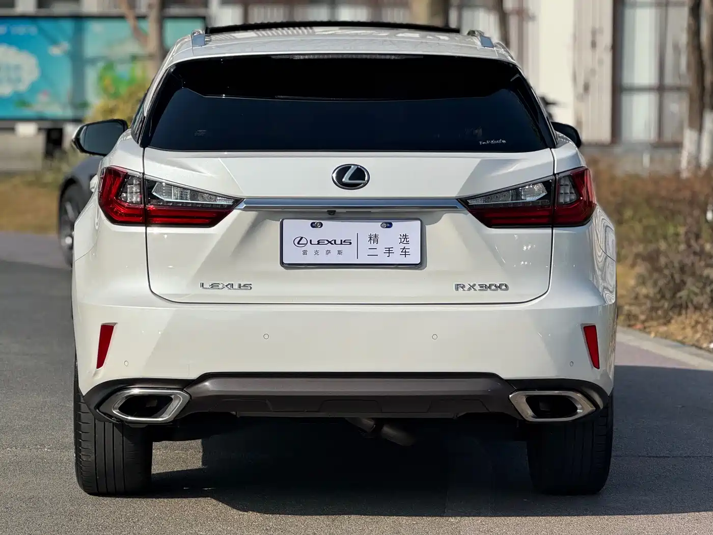 Lexus RX 2016 300 4WD Elegance Edition (China V) фото 14