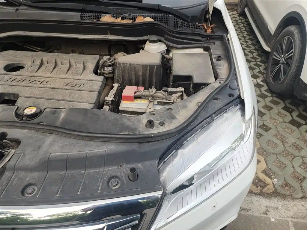 Haval H6 2018 Red Label Sport 1.5T Manual 2WD Elite фото 22