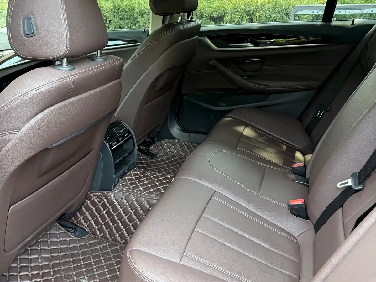 BMW 5 Series 2019 525Li Luxury Package фото 8