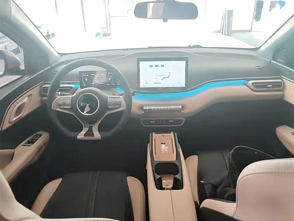 BYD Seagull 2024 Glory Edition 305km Vitality Edition фото 10