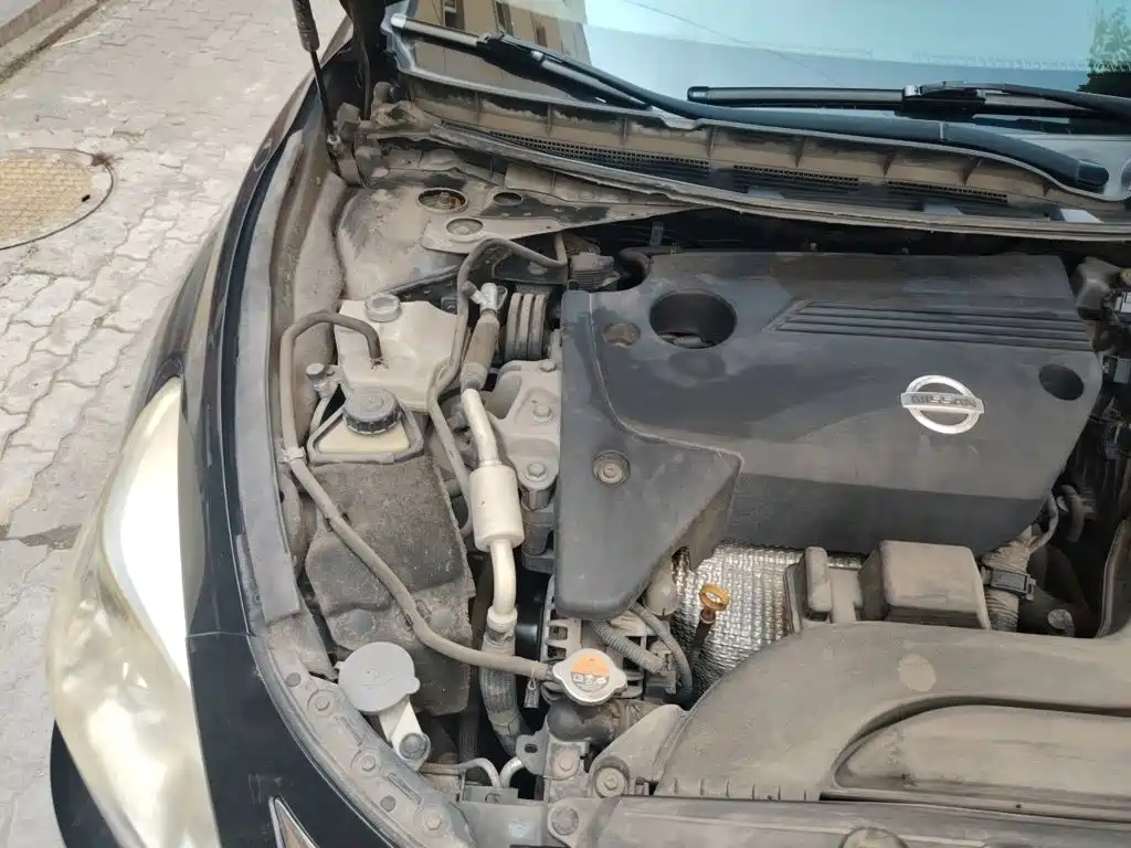 Фото 21 - Nissan Teana