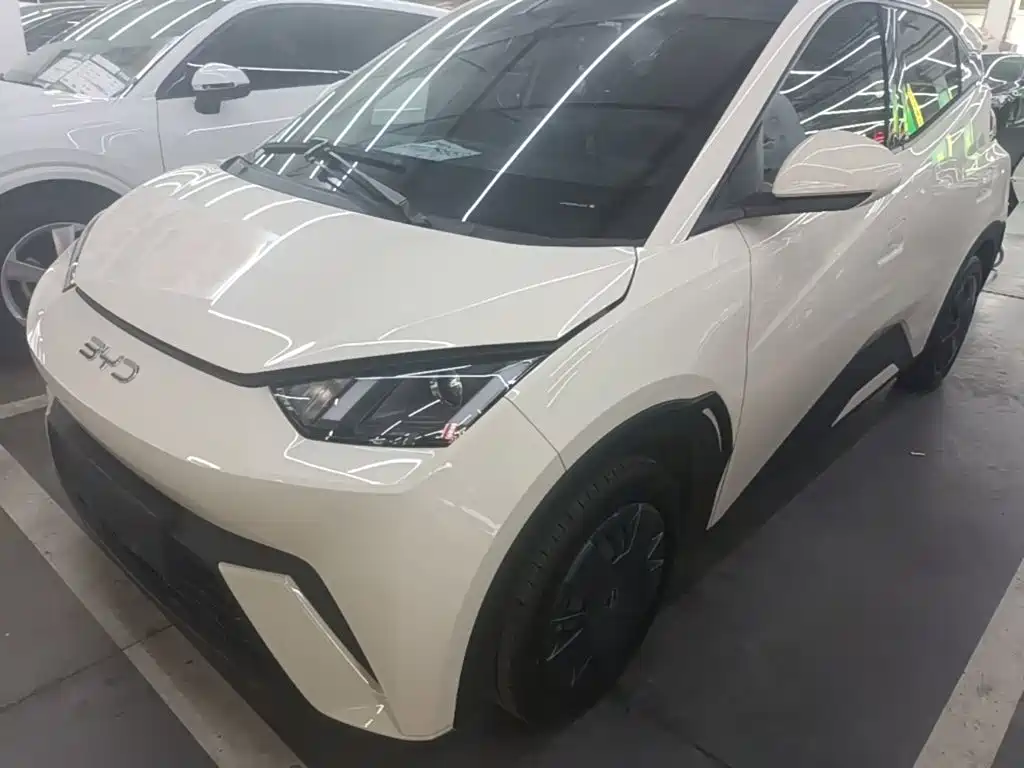 BYD Seagull 2024