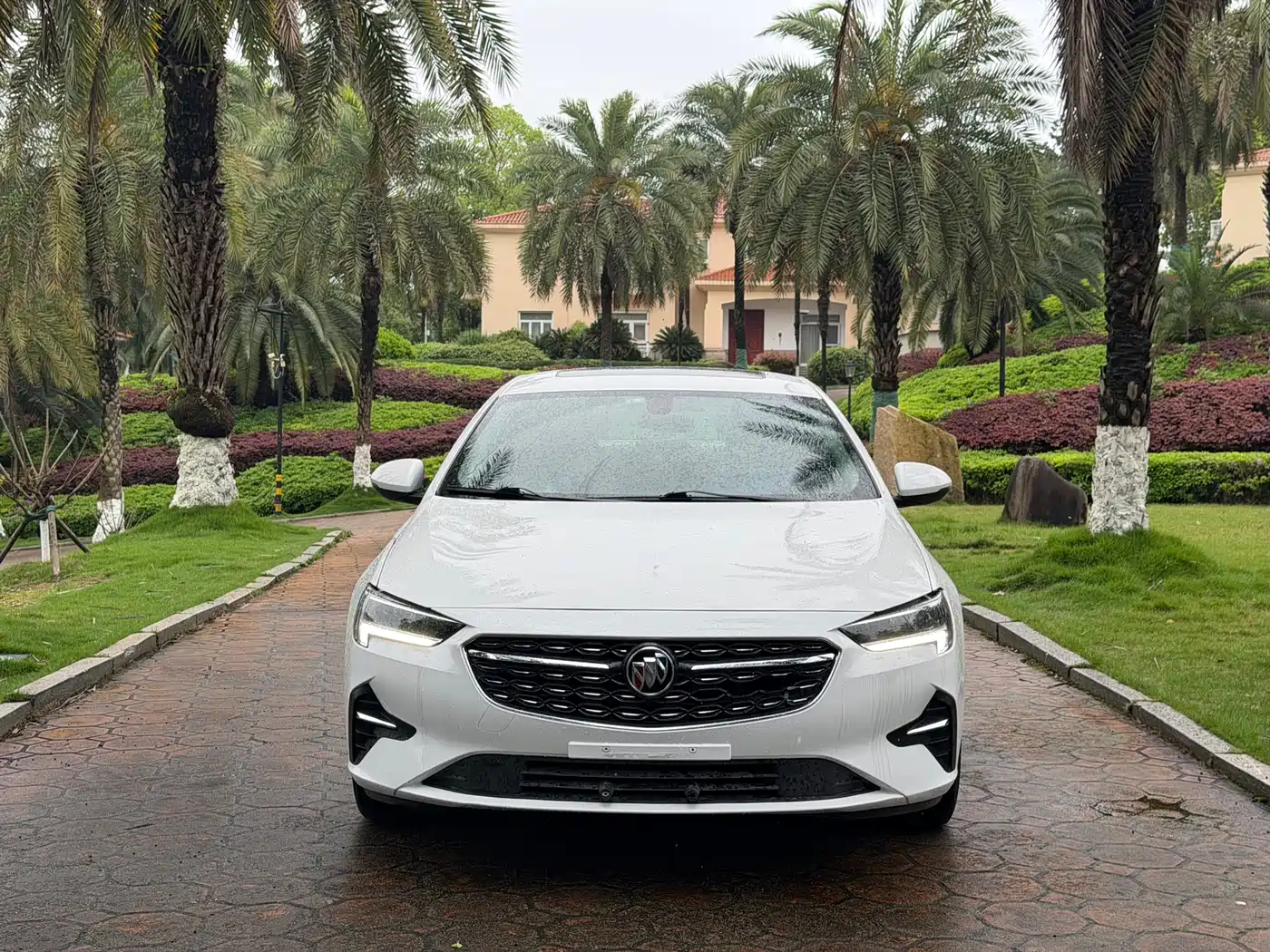 Buick Regal 2020 552T Elite фото 2