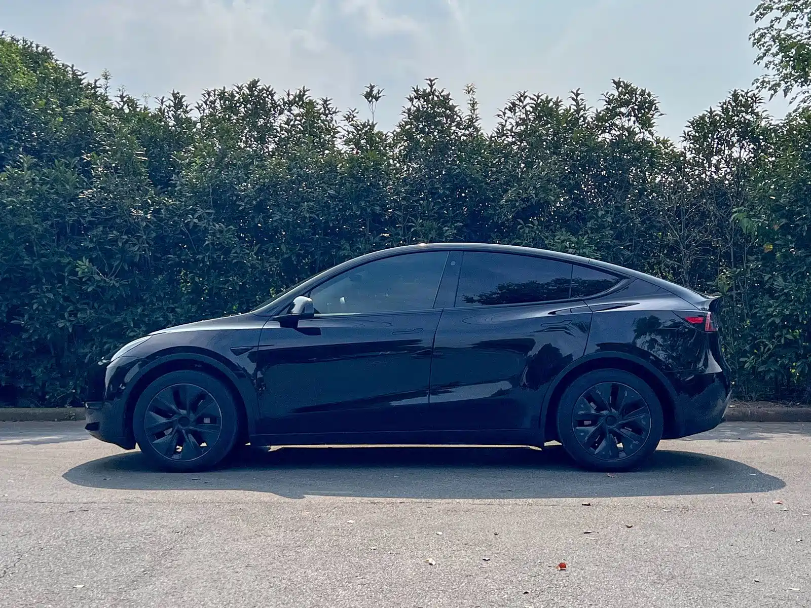 Фото 6 - Tesla Model Y