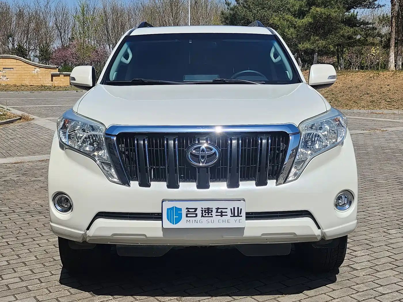 TOYOTA PRADO