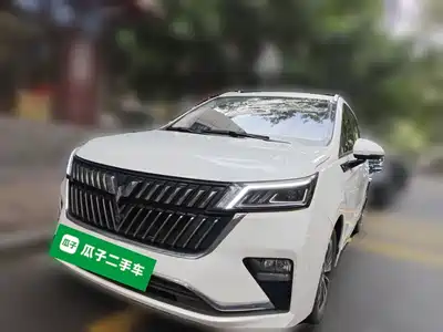 Wuling Jiachen