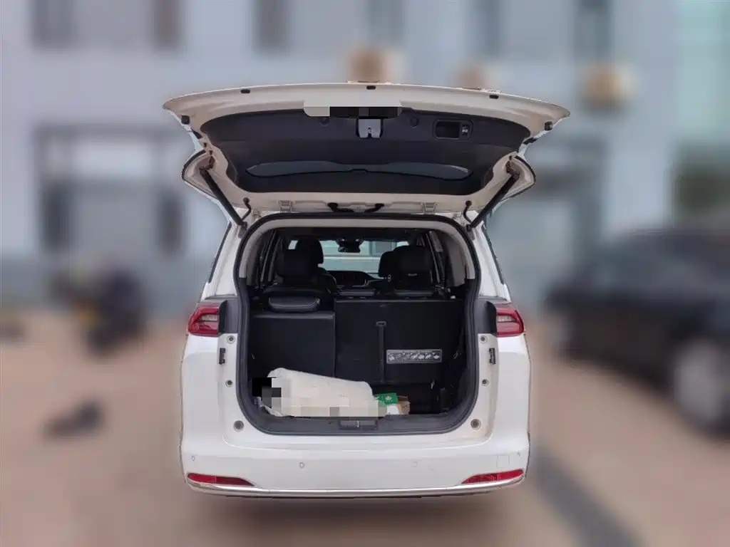 GAC Trumpchi Trumpchi M6 2021 PRO 270T DCT Premium Edition фото 10