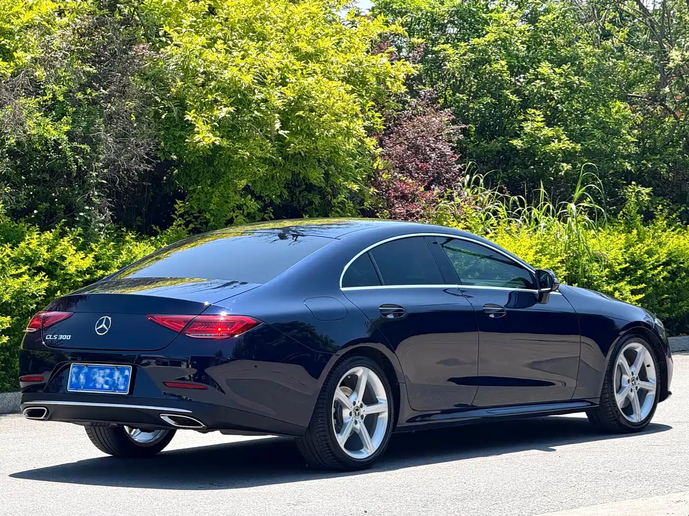 Mercedes-Benz CLS 2018 CLS 300 Dynamic фото 7