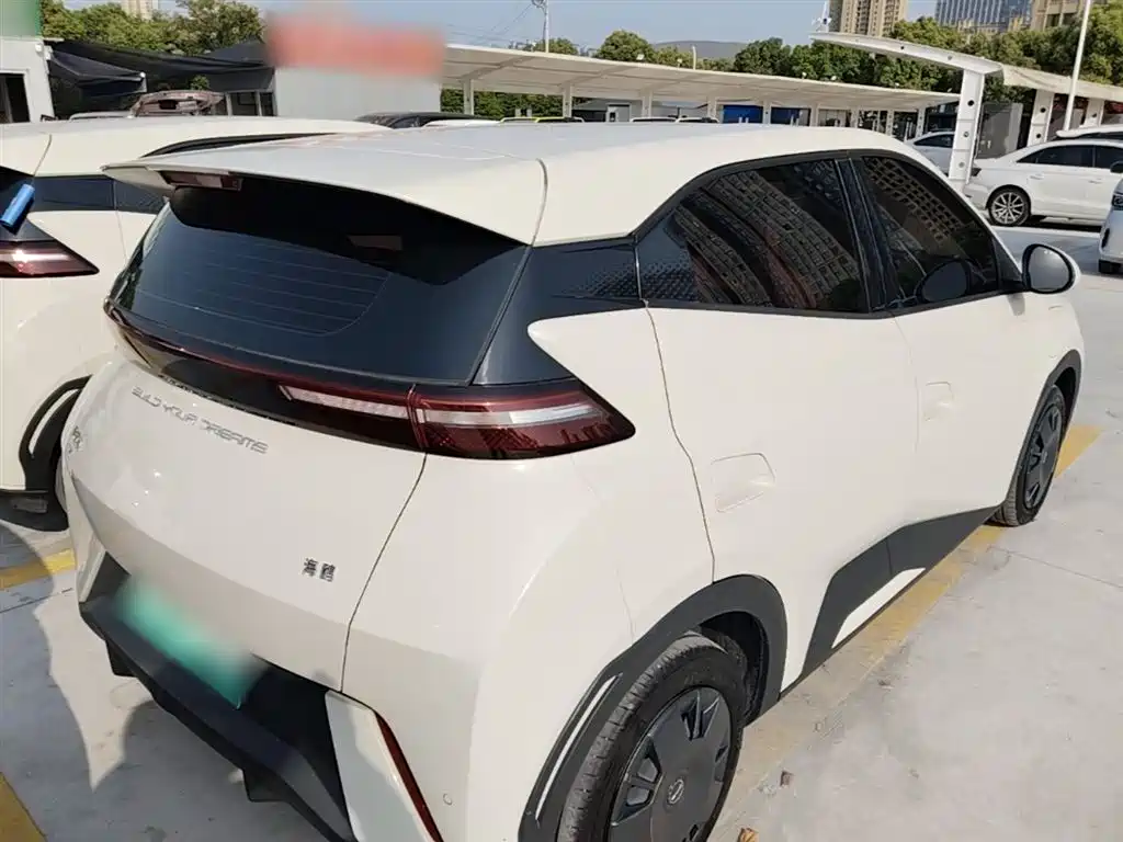 BYD Seagull 2024 Glory Edition 305km Vitality Edition фото 7