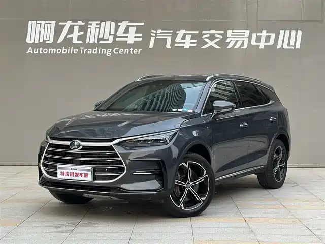 BYD TANGXIN ENERGY 2021