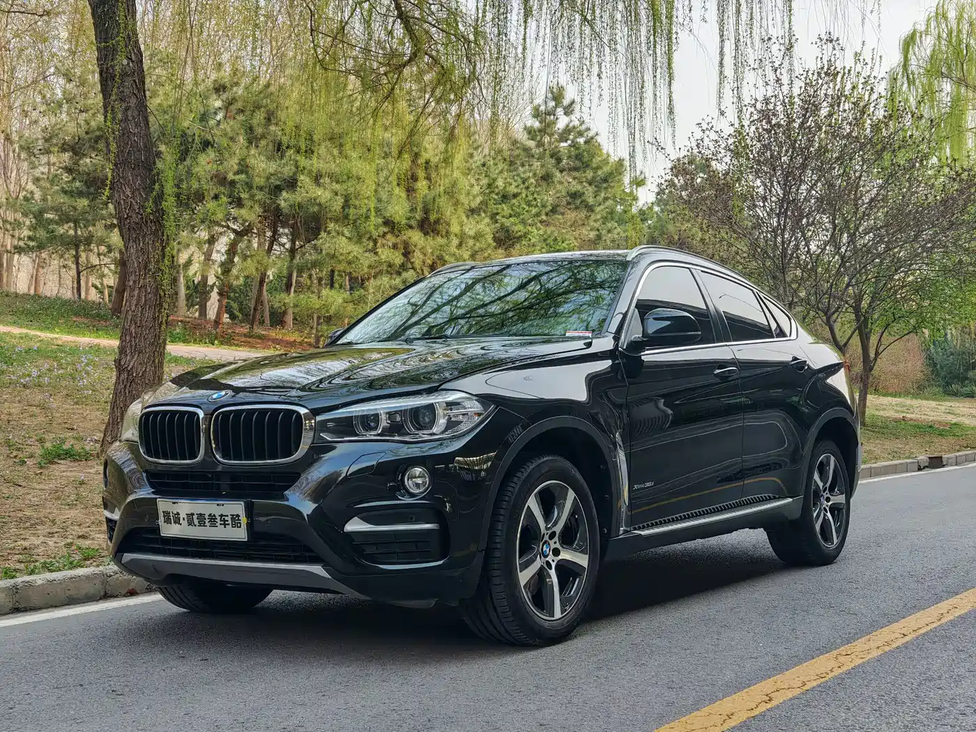 BMW X6 2015 xDrive35i Luxury Model