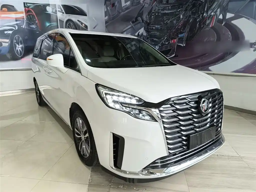 Buick GL8 2023 ES Landmaster Exclusive фото 22
