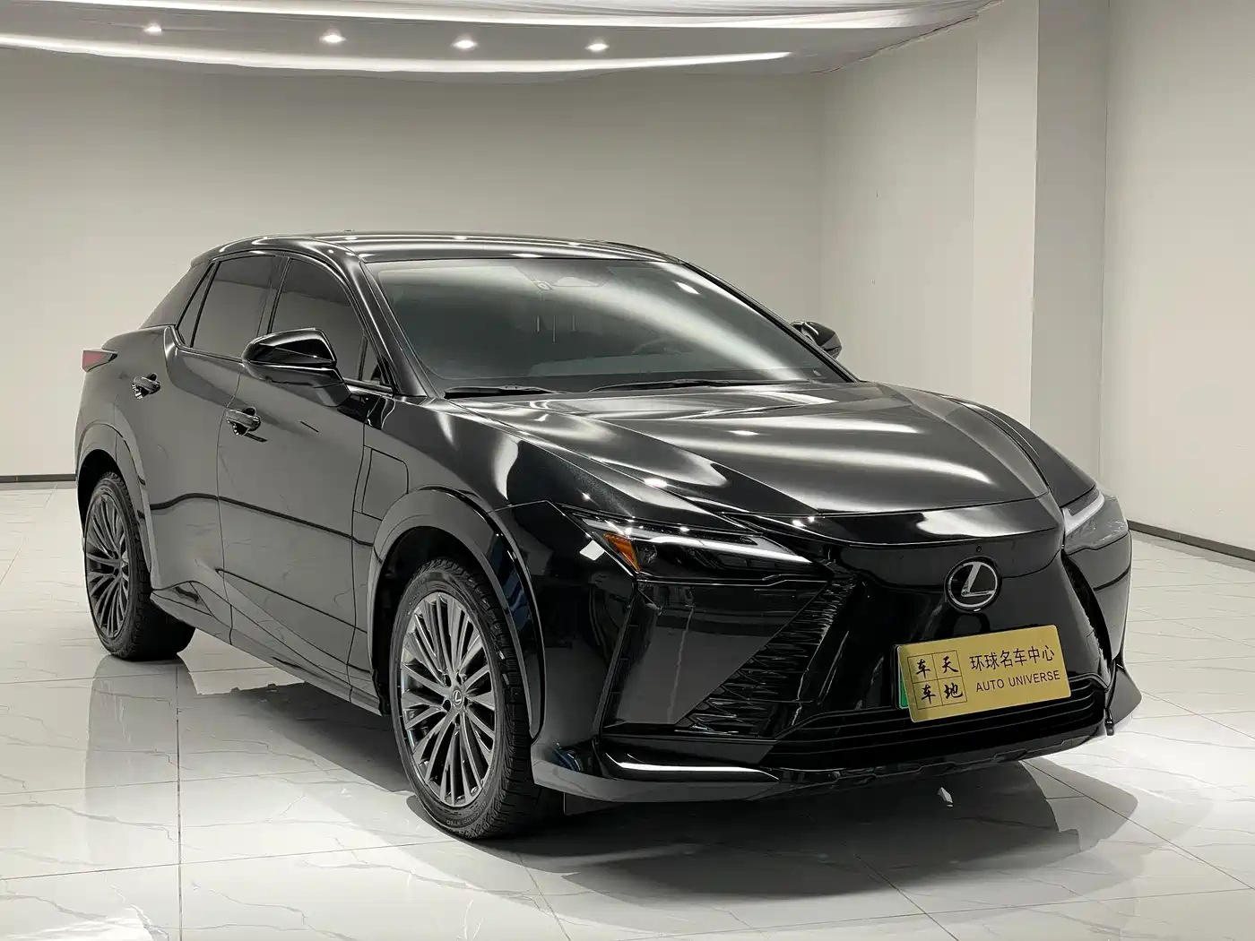 Lexus RZ 2023 450e 4WD Premium фото 3