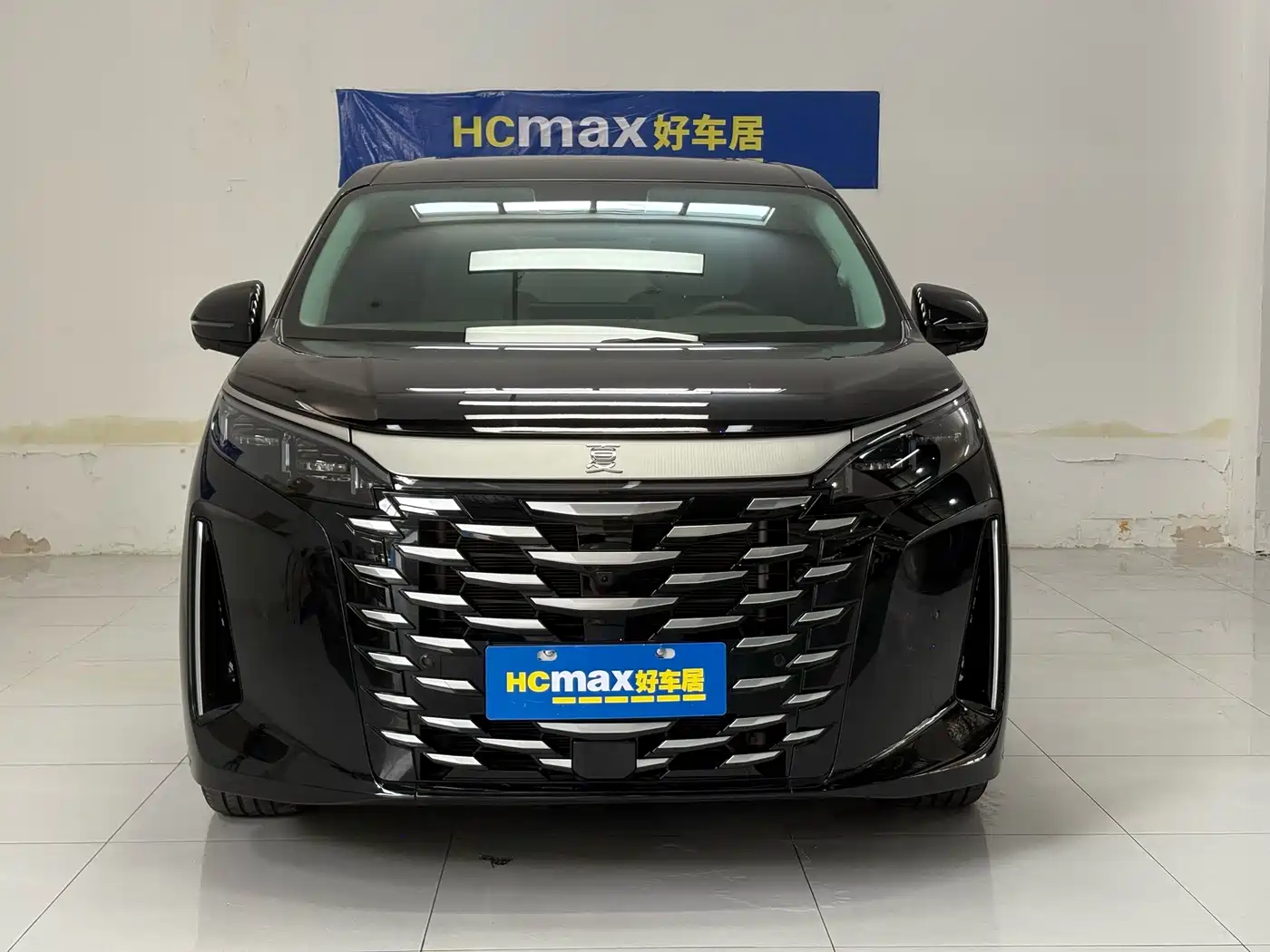 2025 BYD Xia