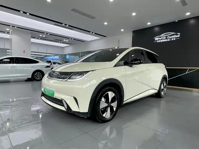 BYD Dolphin 420km, Свобода