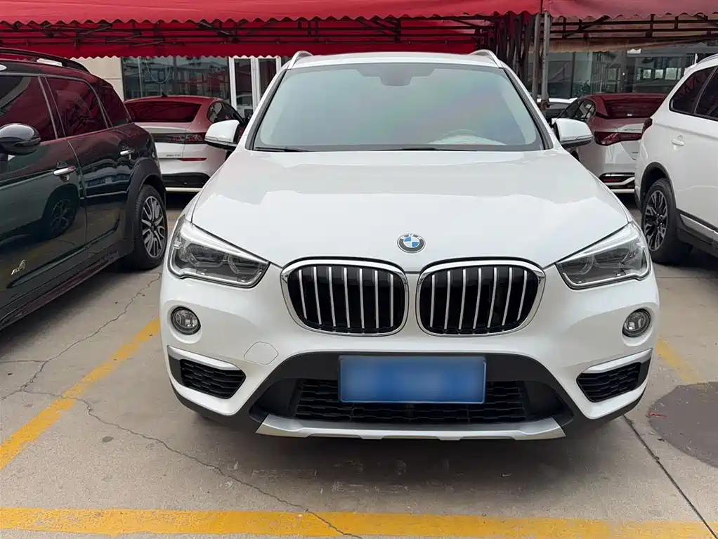 BMW X1 2018 xDrive20Li Premium Model фото 7