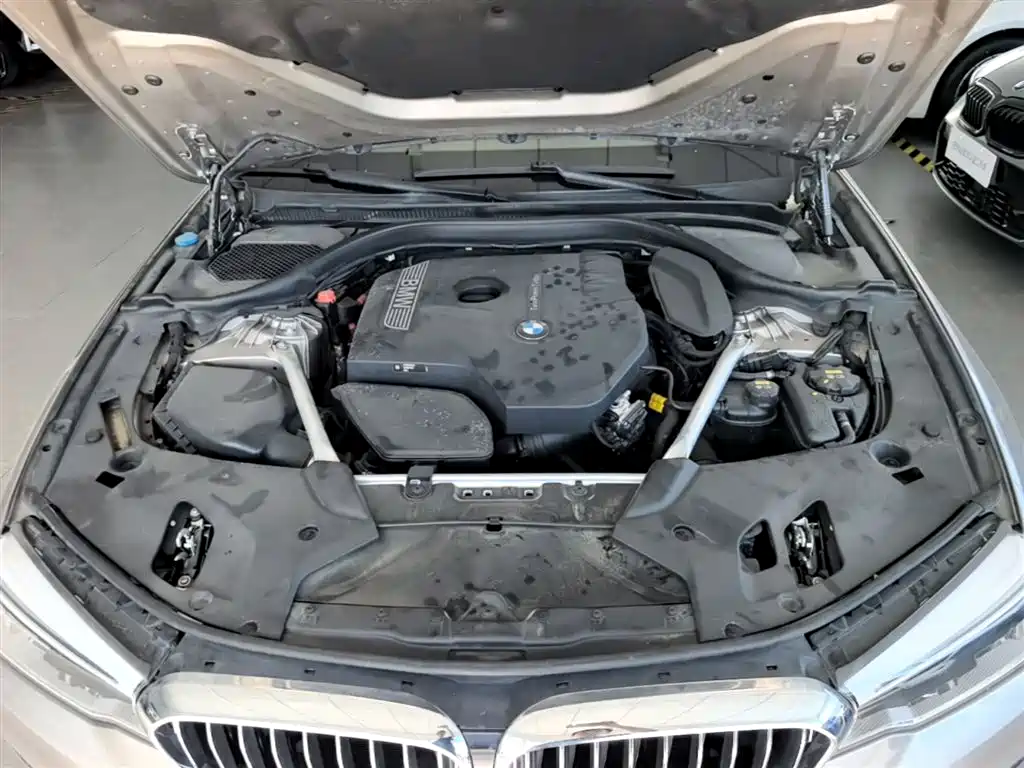 BMW 5 Series 2020 530Li Leading Luxury Package фото 20
