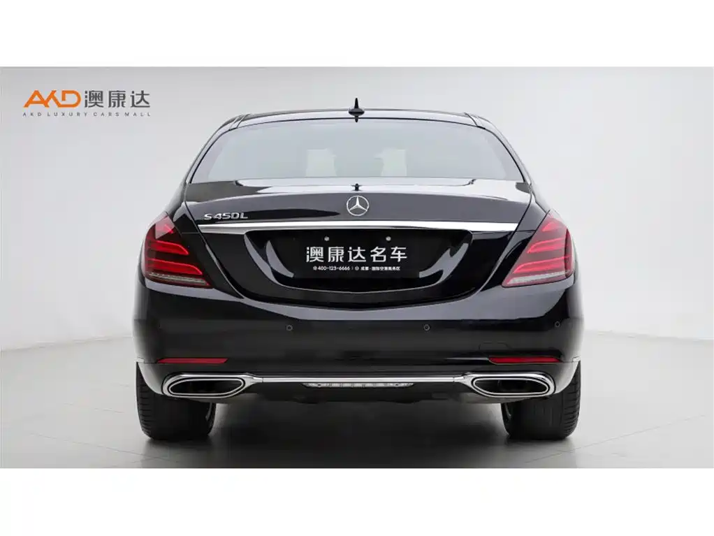 Mercedes-Benz S-Class 2019 S 450 L фото 4