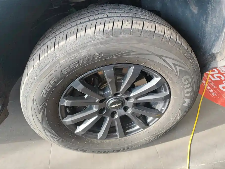 FANG CHENG BAO LEOPARD 5