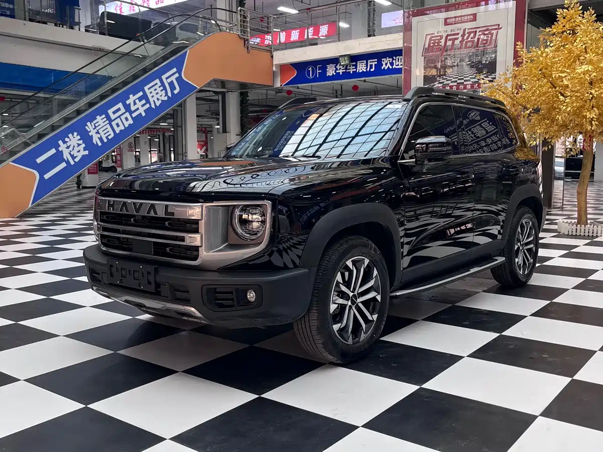 Haval Big Dog 2024 1.5T DCT Border Collie Edition
