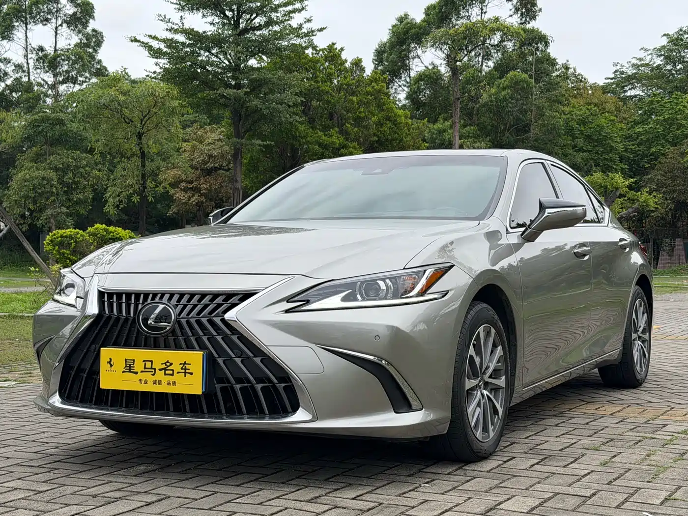 Lexus ES 2022 200 Excellence Edition